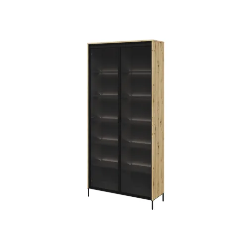 TREND TR-07 v.2 - witryna 2w z oświetleniem - dąb artisan/czarny