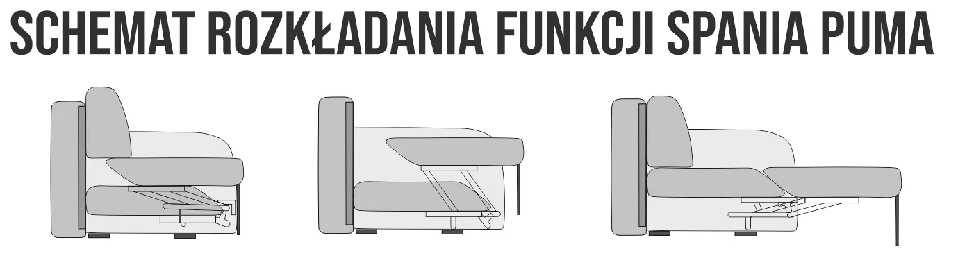 Schemat funkcji spania: Puma