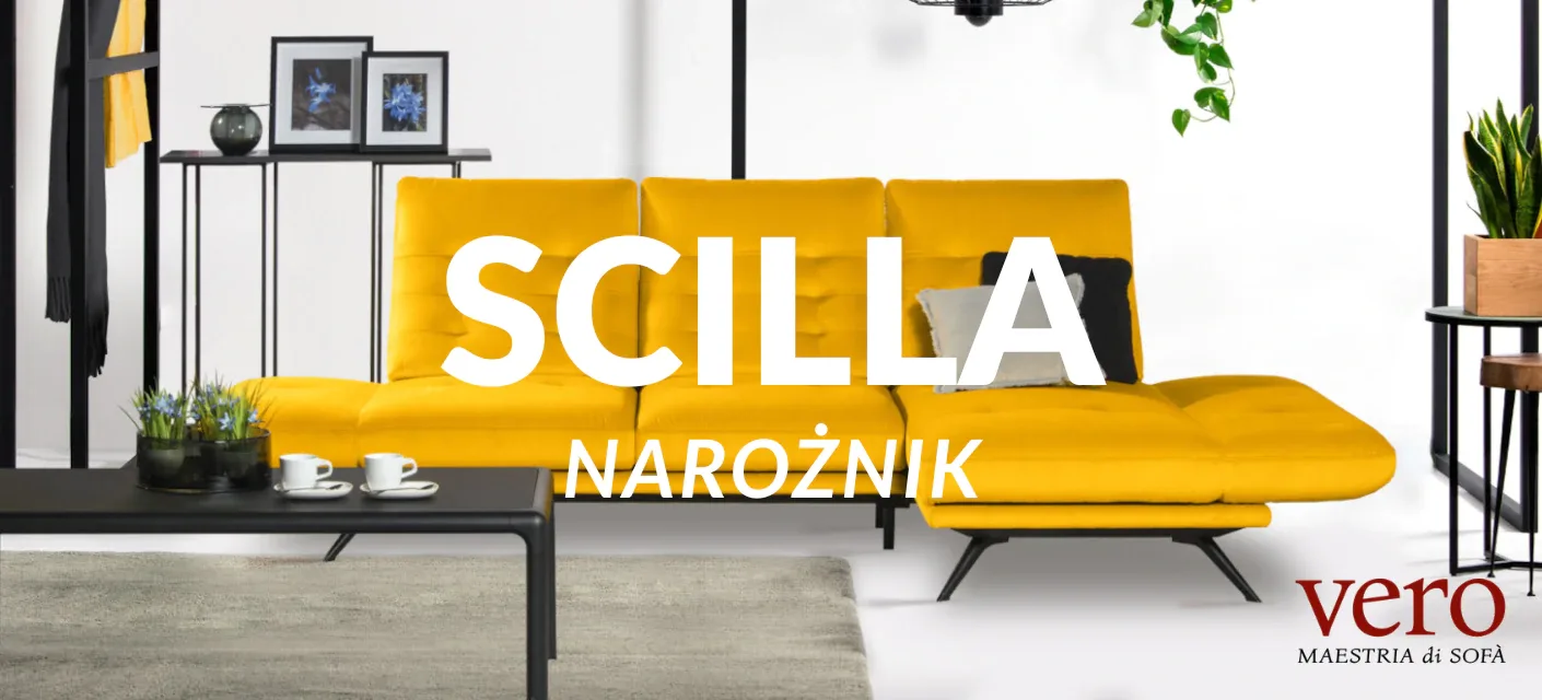 Zdjęcie w galerii